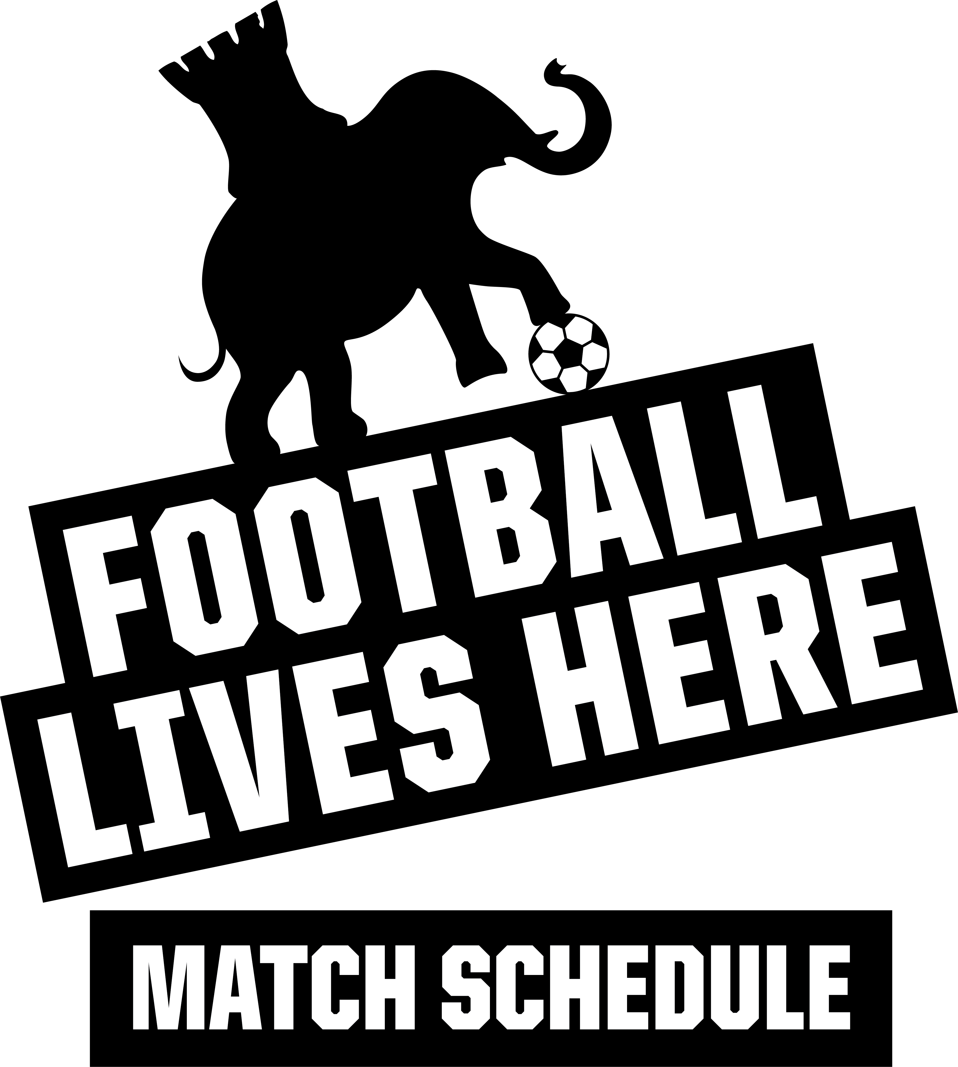 Match Schedule